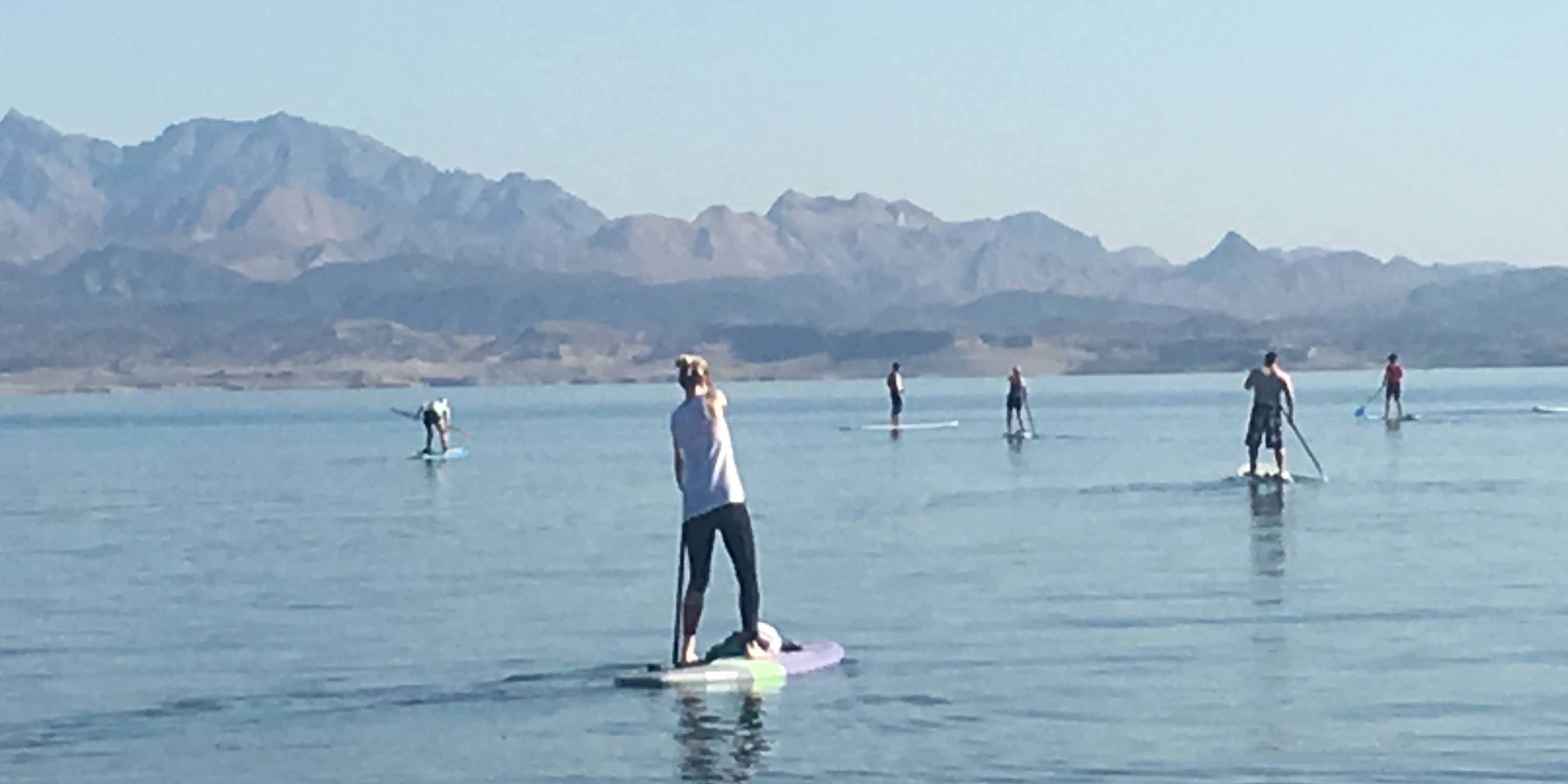 Island Stand Up Paddleboard Experience Book Tours & Activities at