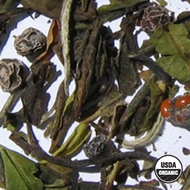Organic Schizandra White Tea from Arbor Teas