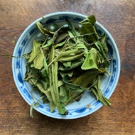 2024 Early Spring Qi Yun #23 Organic White Tea from TheTea