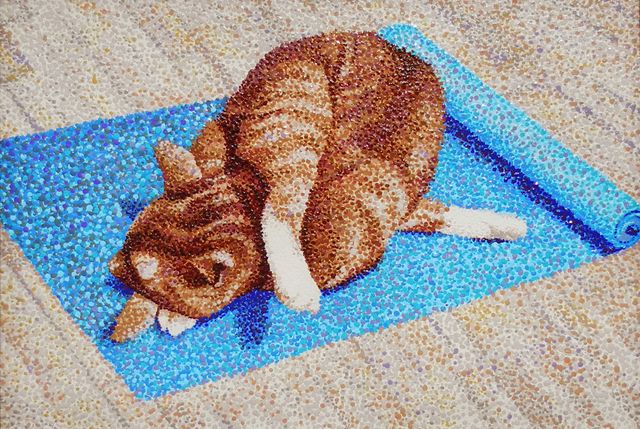 image: "Yoga Cat (crumpled kitty)"