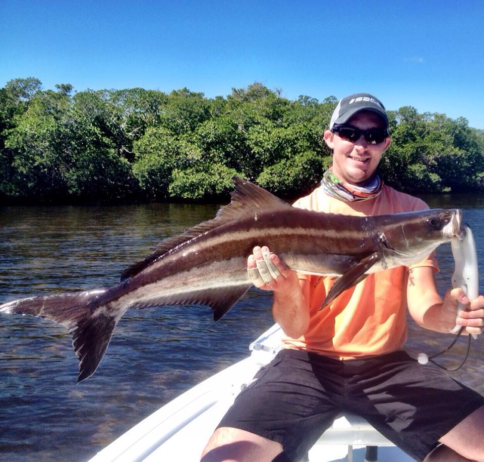 INSHORE photo 3
