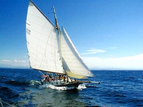 Sunset Sail photo 1