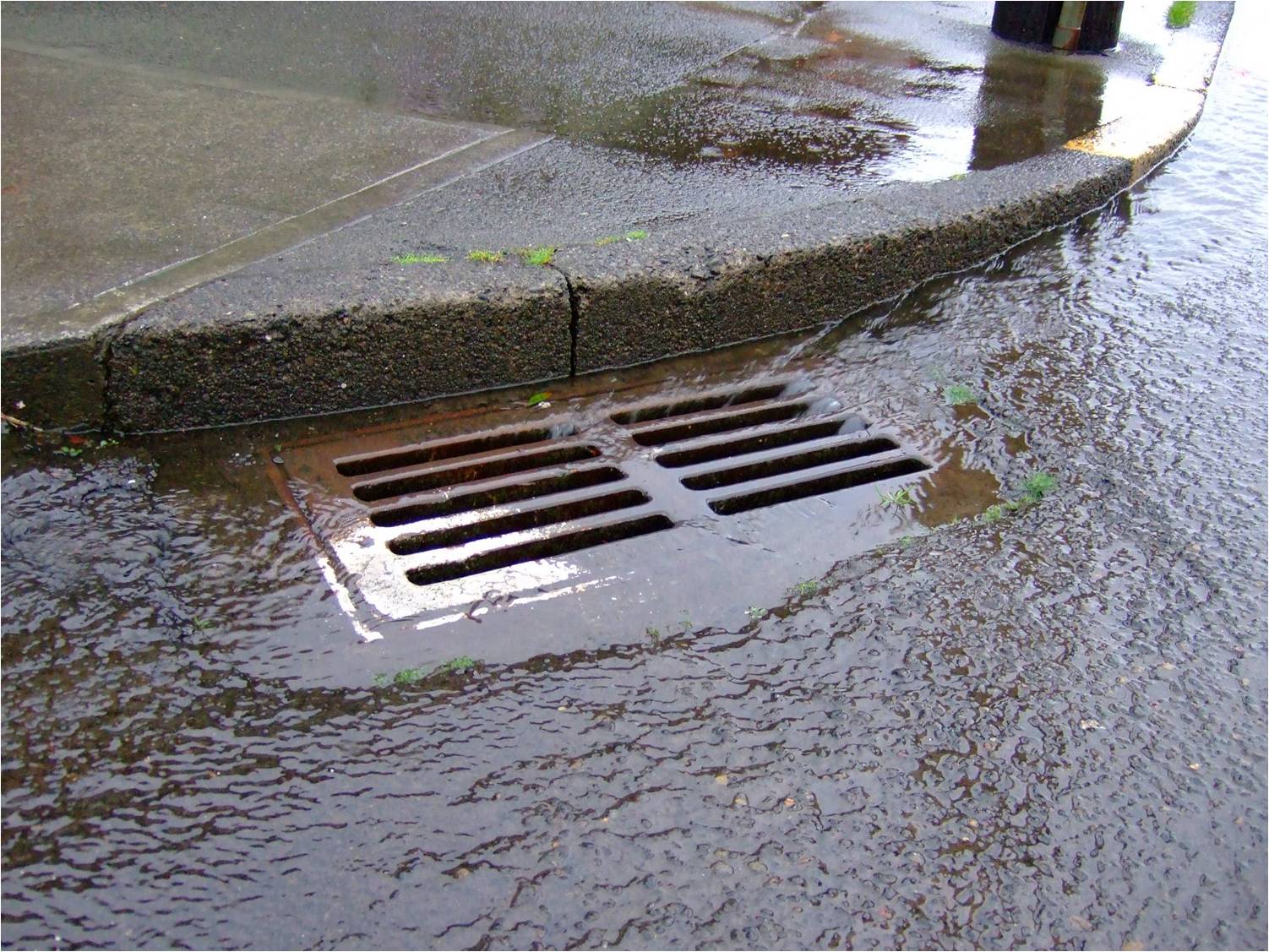 Product image for 2025 SWPPP Storm Water Pollution Prevention Training 2025