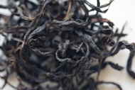 Praise Bee Spring 2024 Milan Xiang Dancong Oolong from Bitterleaf Teas