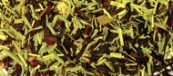 Lemon Karkade from Shanti Tea