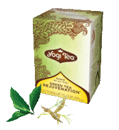 Green Tea Rejuvenation from Yogi Tea