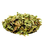 Pacific Coast Mint from World Tea House