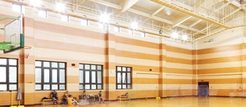 Small Gym