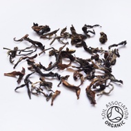 Organic Arya Ruby First Flush Darjeeling from Canton Tea Co