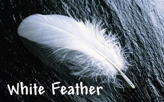 Writings of White Feather logo