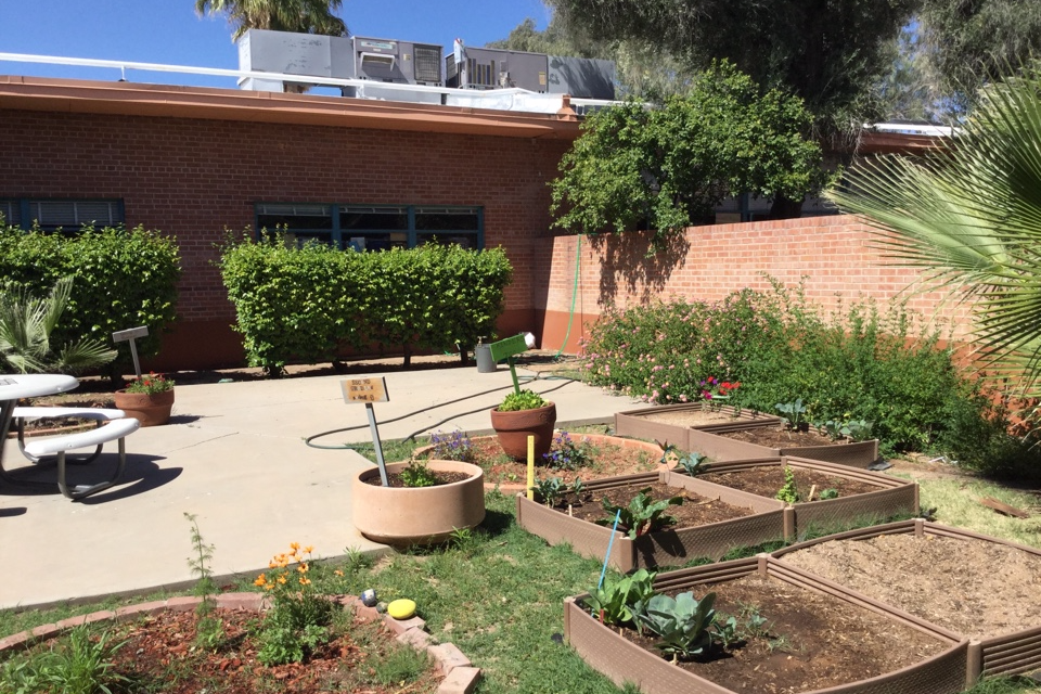 Peace Courtyard