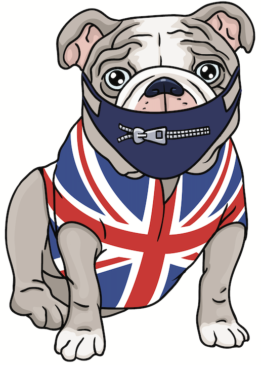 The Daily Sceptic logo