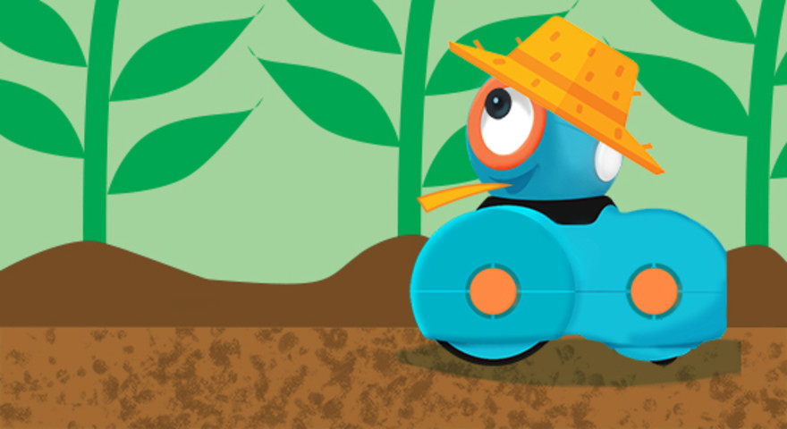 Product image for Path: E-I-E-I Dash (Gr. K-1)