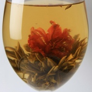 Dan Gui Flower from Earthbound Tea