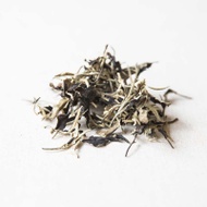 Giant White 2016 Jinggu Moonlight White Tea from Bitterleaf Teas