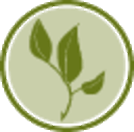 Organic Feel Flawless from Allegro Tea