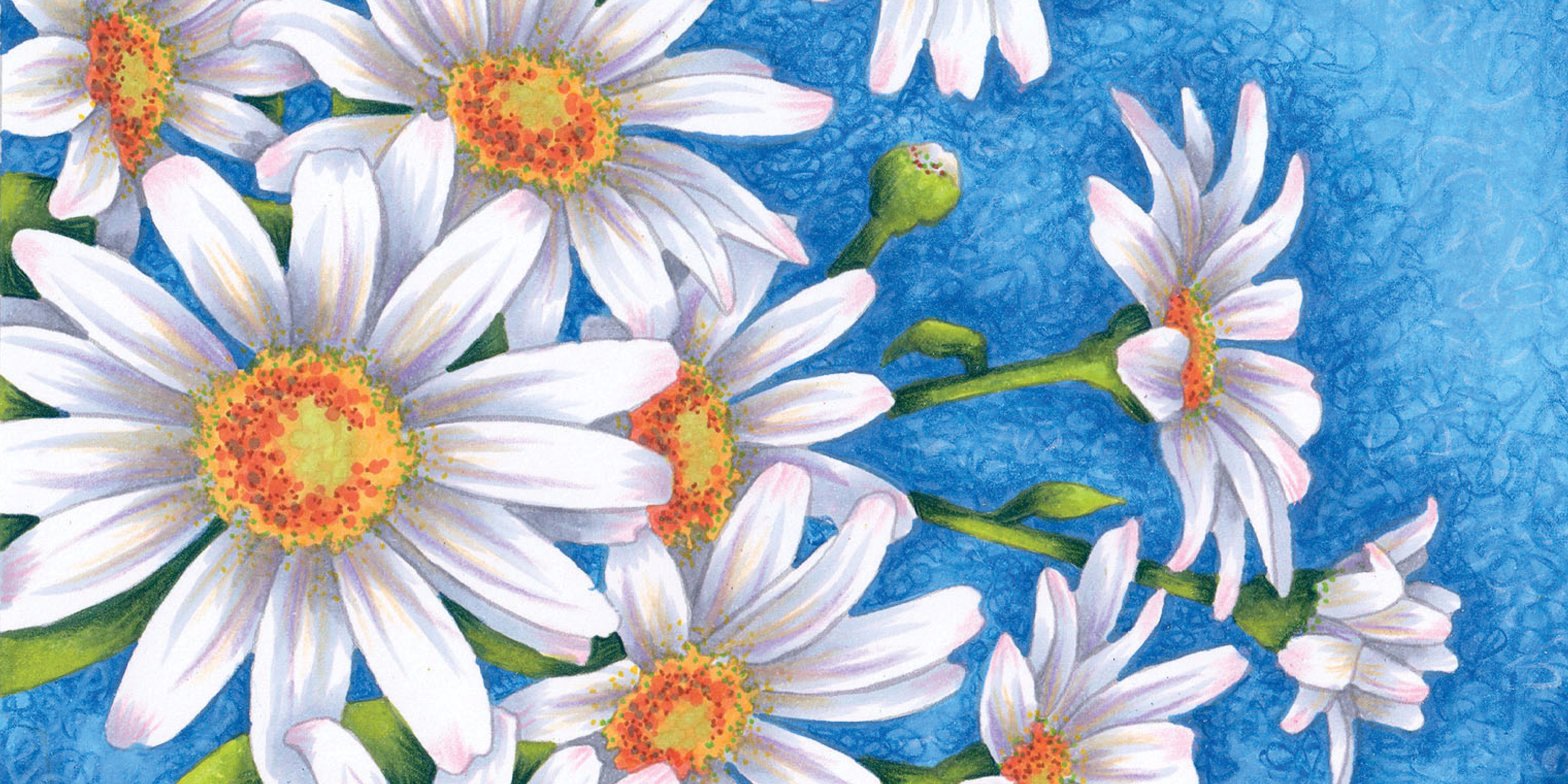 Marker Painting Basics- Oopsie Daisy | Vanilla Arts Company