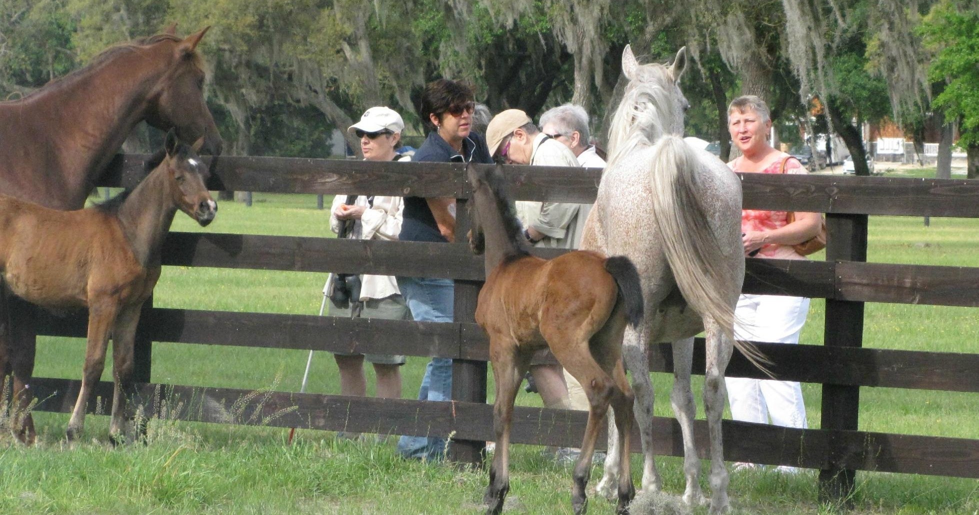 Insider's Farm Tour photo 4
