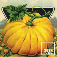 Pumpkin Juice Chai from Geek + Tea