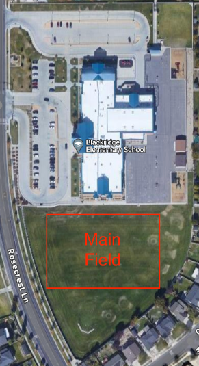 Main Field