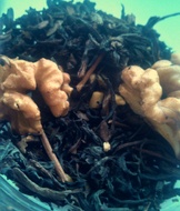 Brittle Me This from Fava Tea Co.