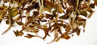 Bai Mu Dan from Shanti Tea