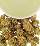 New England Teamaker Hops from Harney & Sons