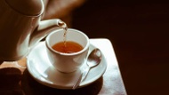 Green Tea As Sedative Facility For Successful Essay Writing from Green Hill Tea