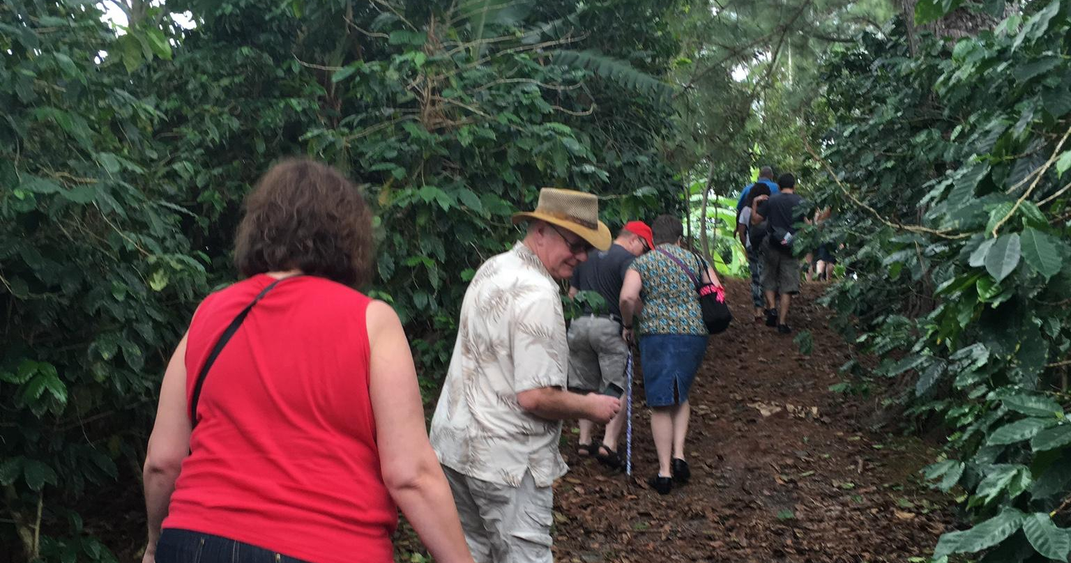 Semi-Private Coffee Plantation Tour ☕️ tour photo 14