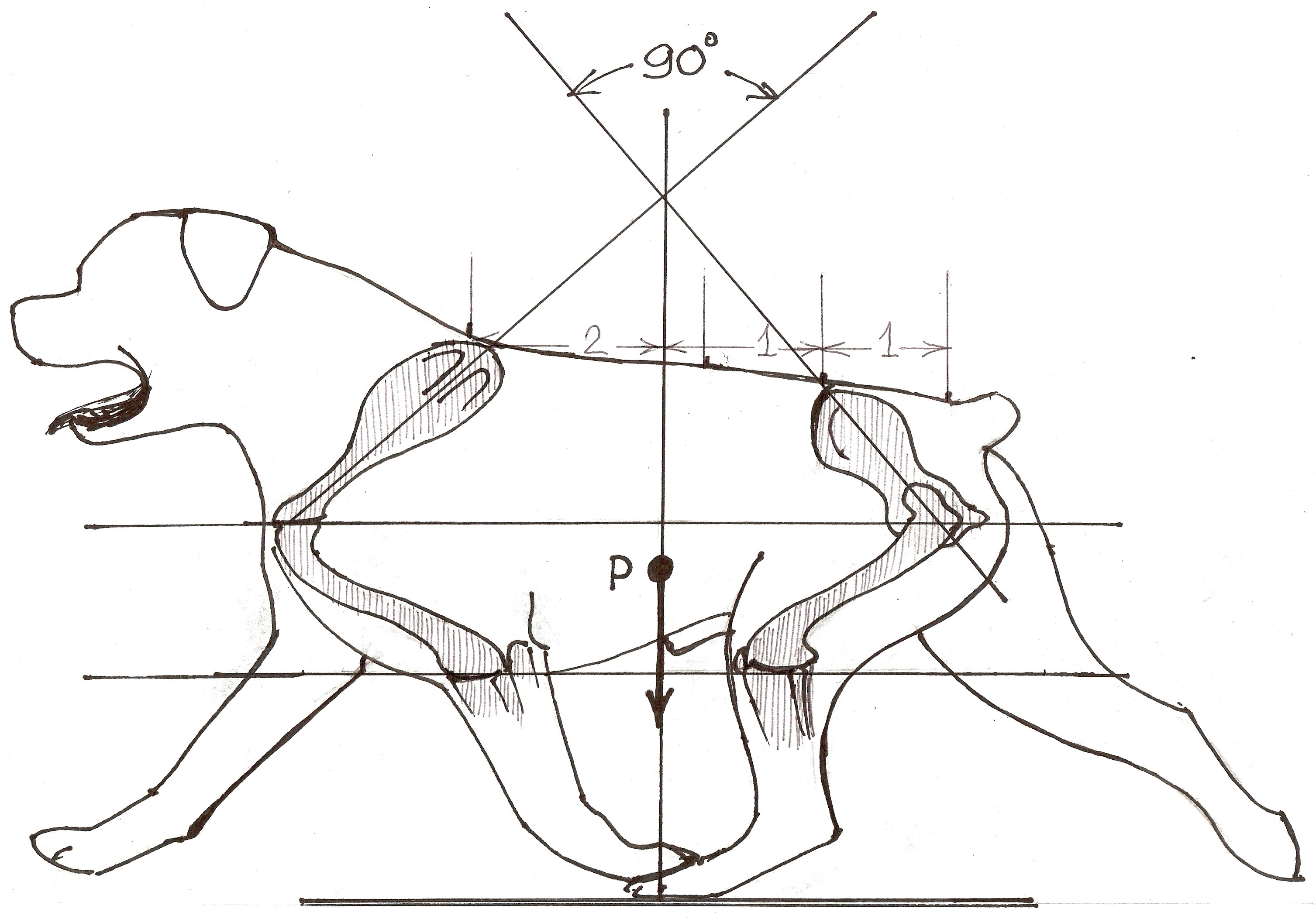  width=