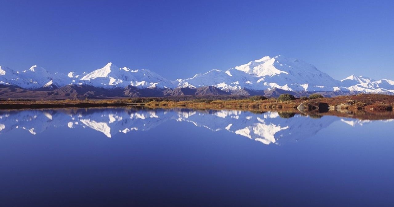 Denali Photo Excursion photo 1
