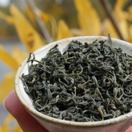 Autumn Harvest Laoshan Green from Verdant Tea