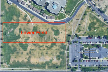 Lower Field