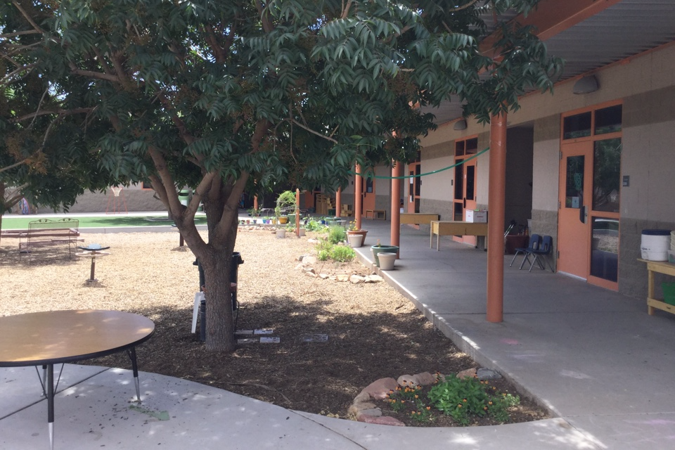 Courtyard/Playground