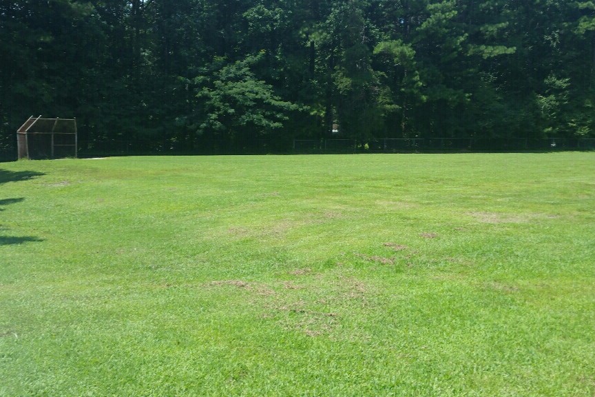Field