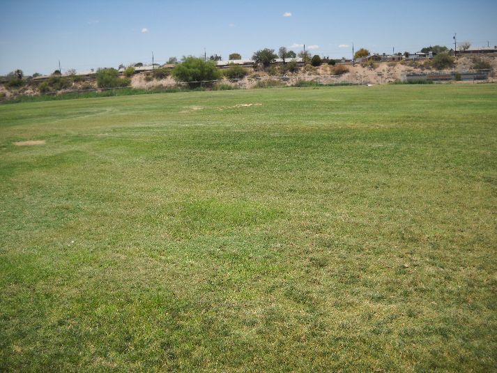Playfield