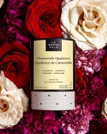 Chamomile Opulence from La Bonne Fille