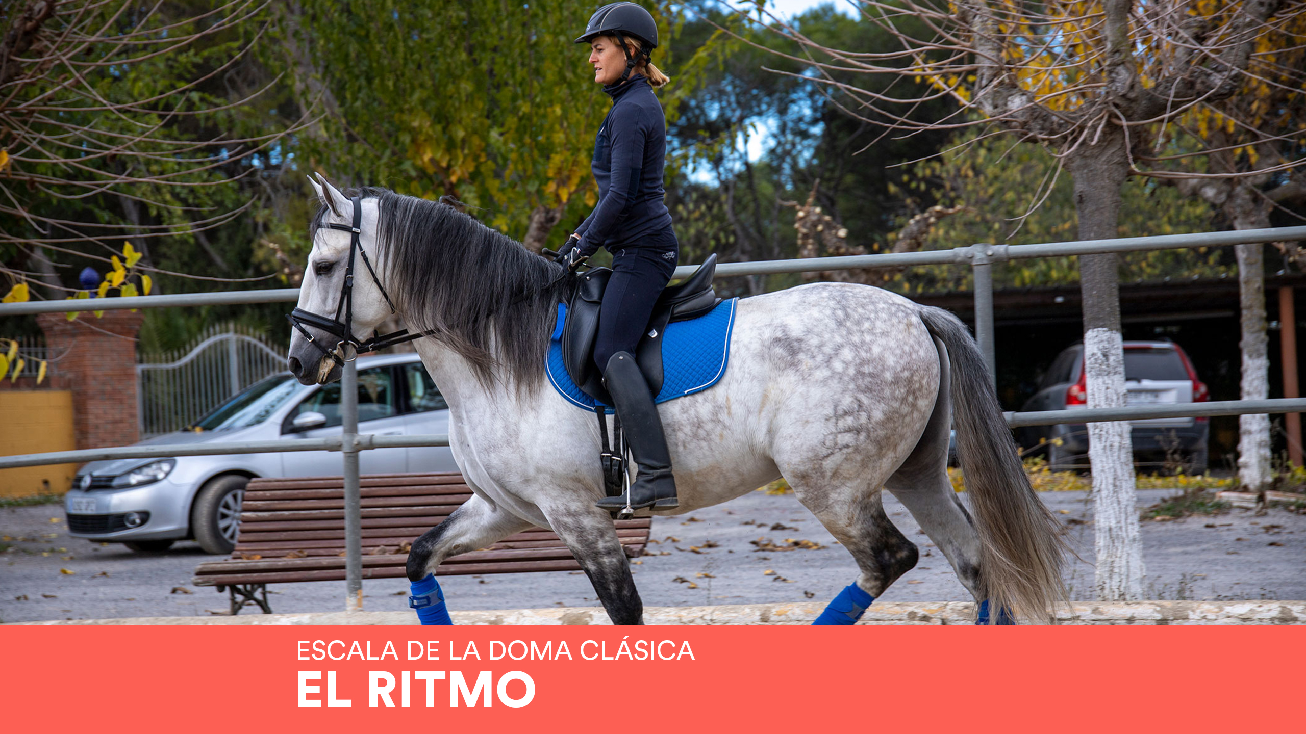Product image for Entrena con la Escala de la Doma Clásica: EL RITMO