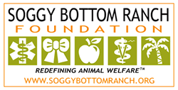 Soggy Bottom Ranch Foundation logo