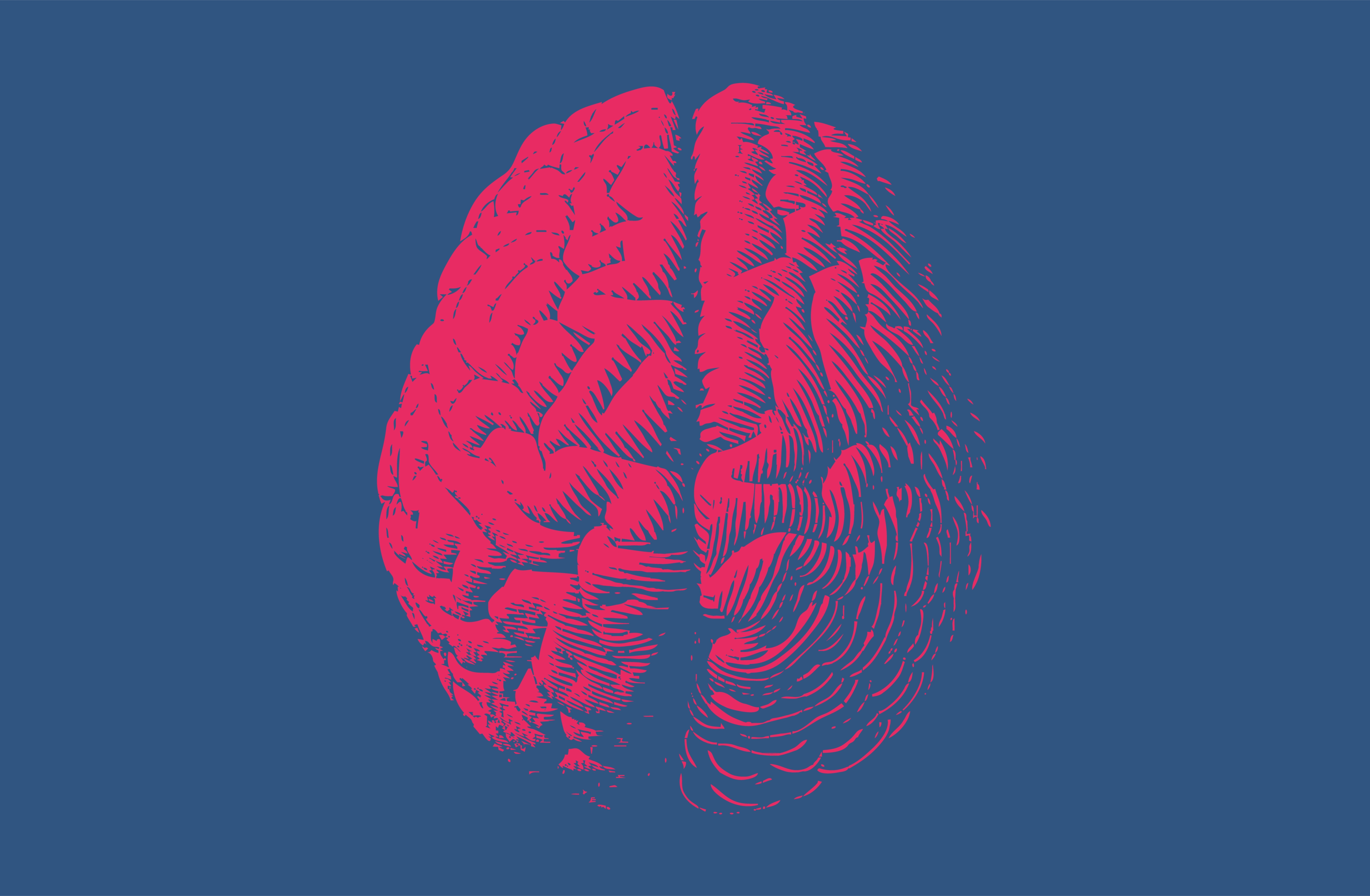 red brain on blue background