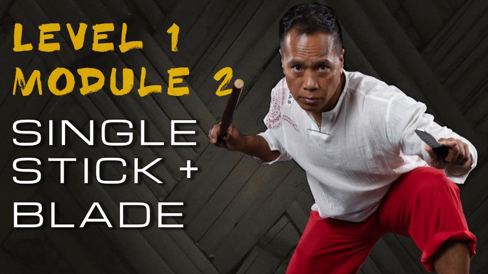 Product image for 2020 Virtual Level 1 Module 2: Single Stick + Blade