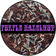 Purple Hazelnut from BrutaliTeas