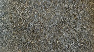 Buns & Raisins | Koji Fermented Sun Rouge from O5 Tea