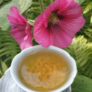 2014 Autumn Song Raw Pu'er-100G Cake from Mandala Tea