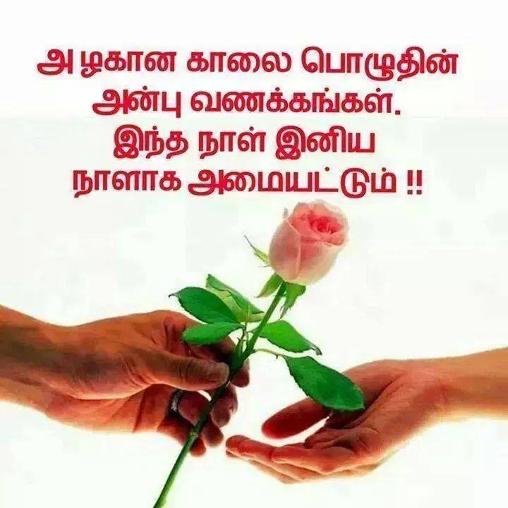 சேனையின் நுழைவாயில். - Page 2 VPQstc7sQv2QKYedGUh5+10606403_578463902257436_4016536564868496488_n