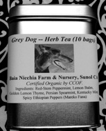 Grey Dog from Baia Nicchia Farm