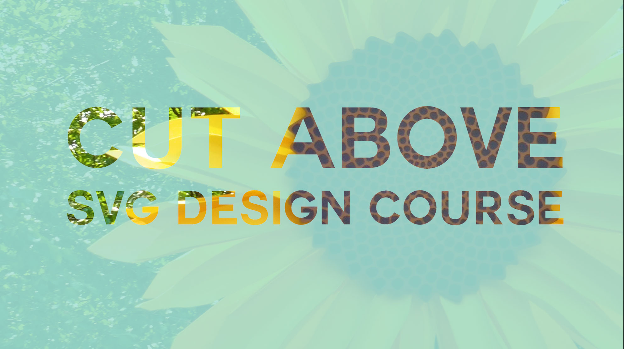 Download Why You Are A Cut Above The Rest Video Jennifermaker Academy
