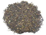 Darjeeling Autumnal from Tlicious
