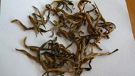 Yunnan Golden Bud from Life In Teacup