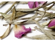 First Love from Red Leaf Tea